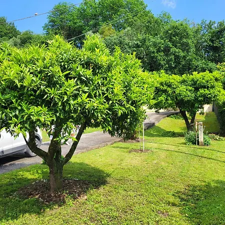 The House Of Citrus - Amazing Country House Near Viareggio Beach And Lucca Stiava Exterior photo