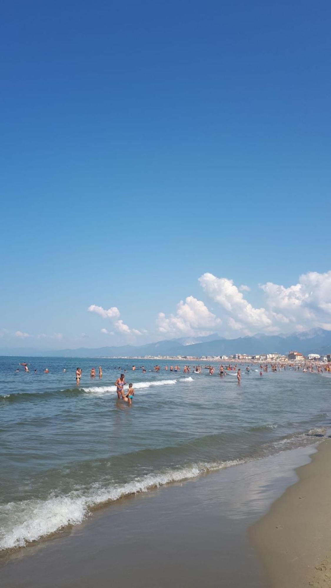 Holiday home The House Of Citrus - Amazing Near Viareggio And Lucca