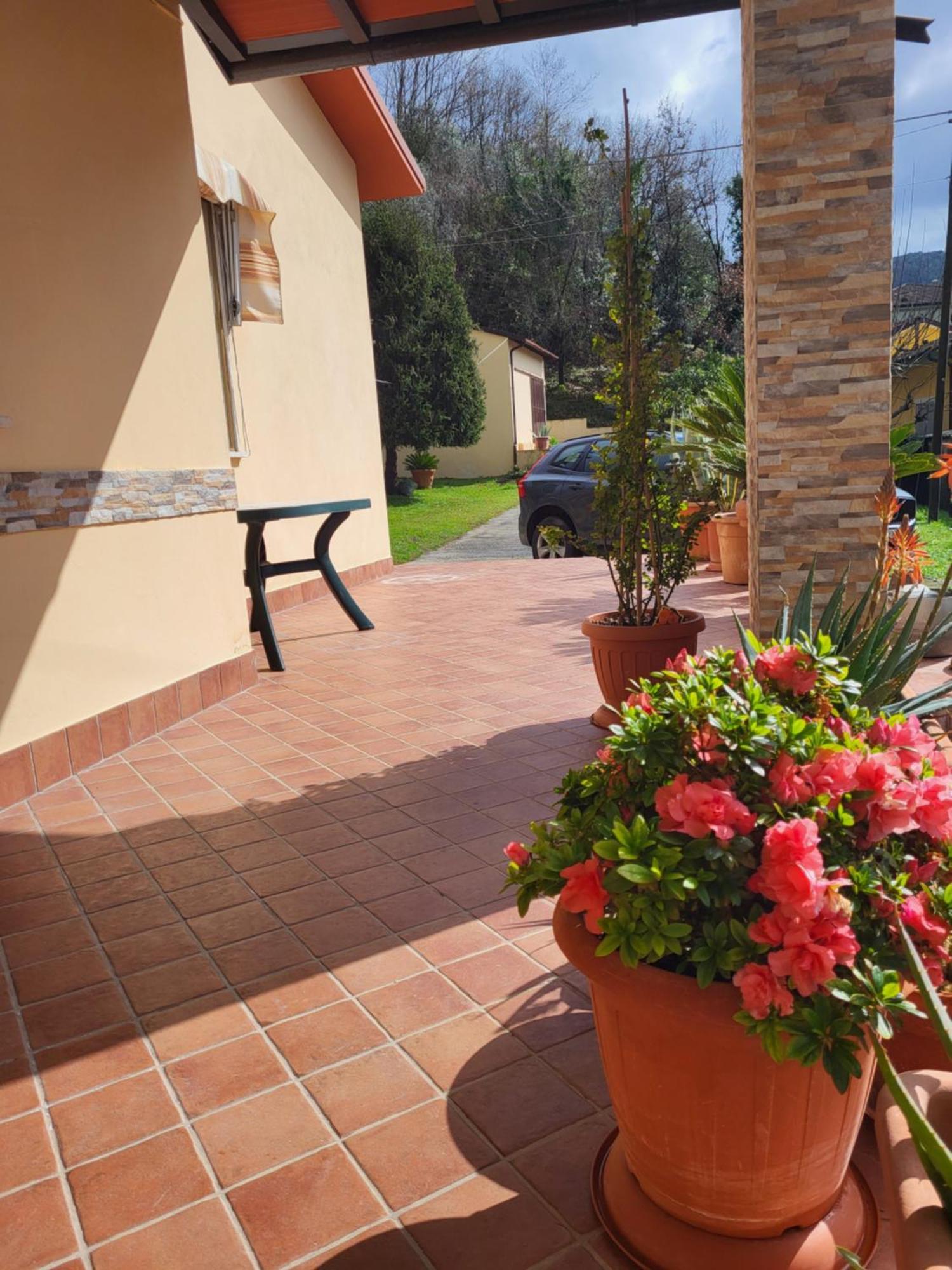 Holiday home The House Of Citrus - Amazing Near Viareggio And Lucca