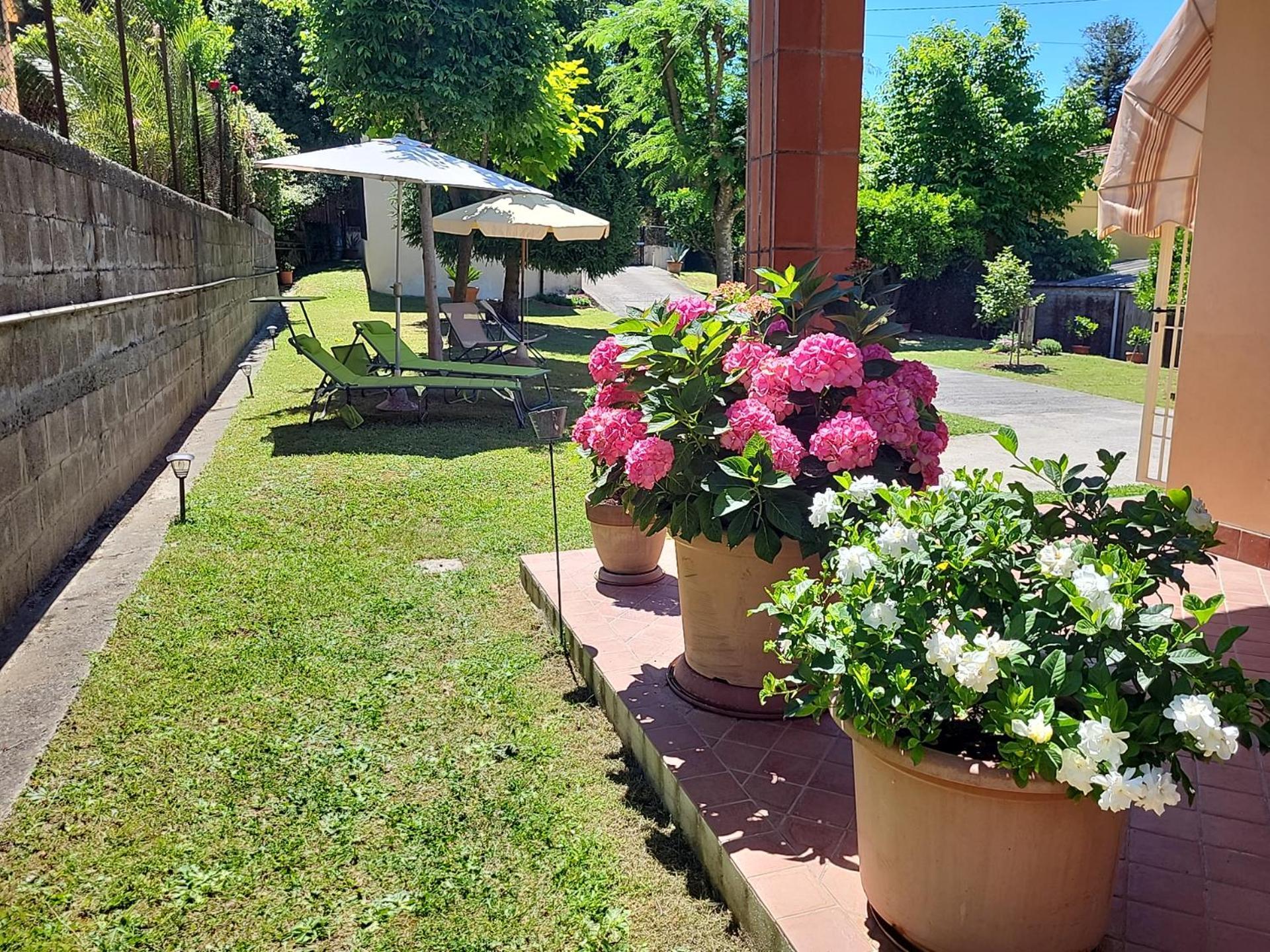 The House Of Citrus - Amazing Near Viareggio And Lucca Holiday home
