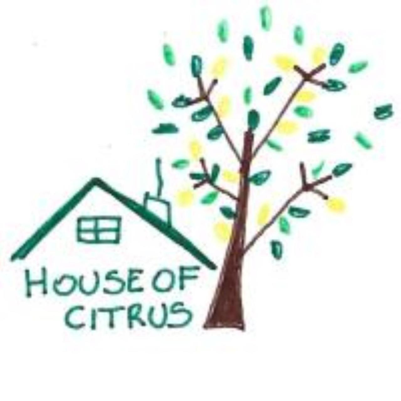 The House Of Citrus - Amazing Near Viareggio And Lucca *