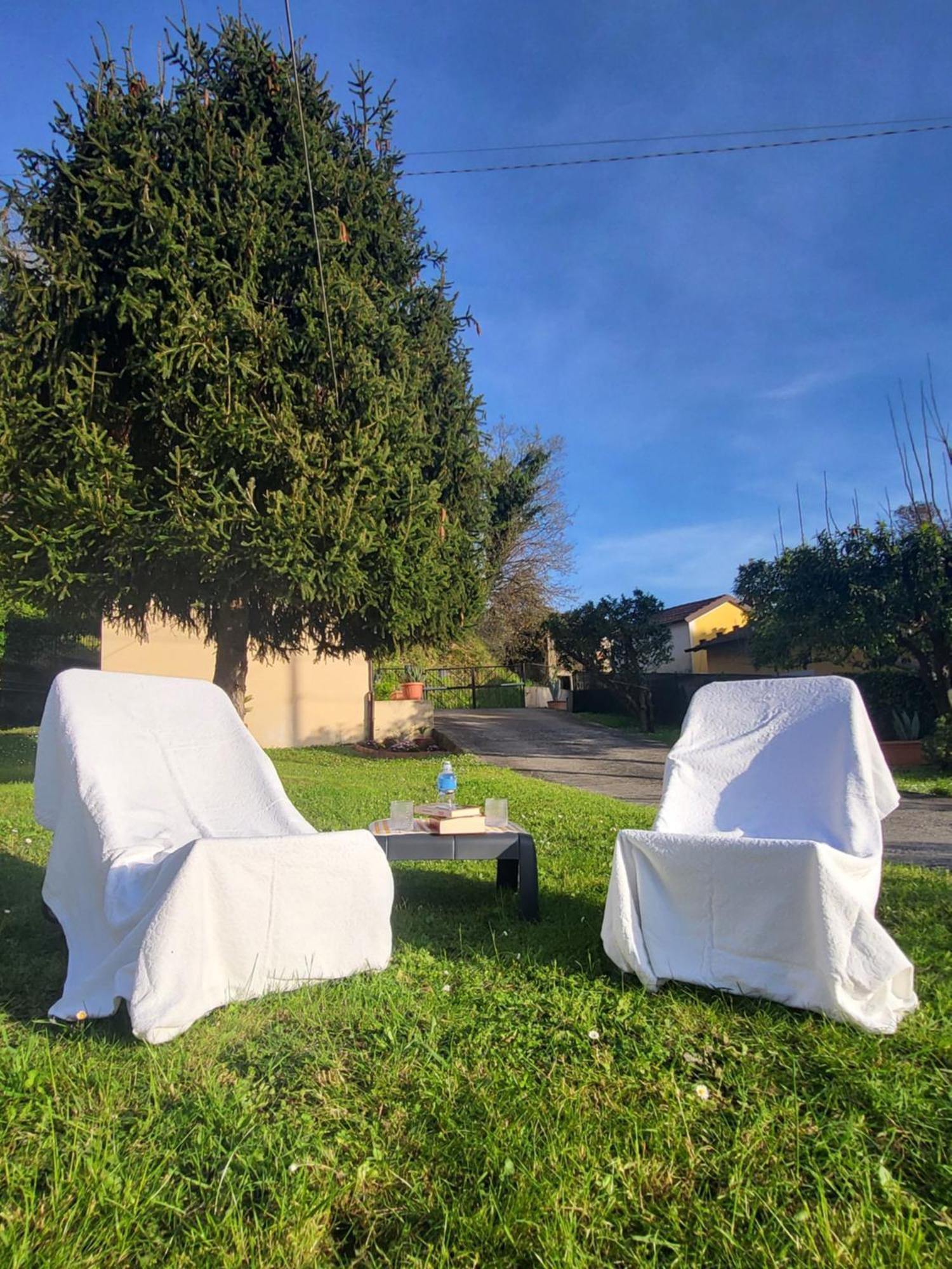 Holiday home The House Of Citrus - Amazing Near Viareggio And Lucca *